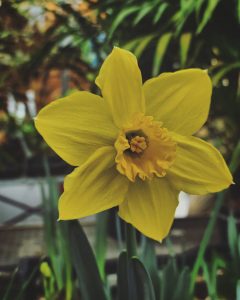 IMG_20220207_003923_583